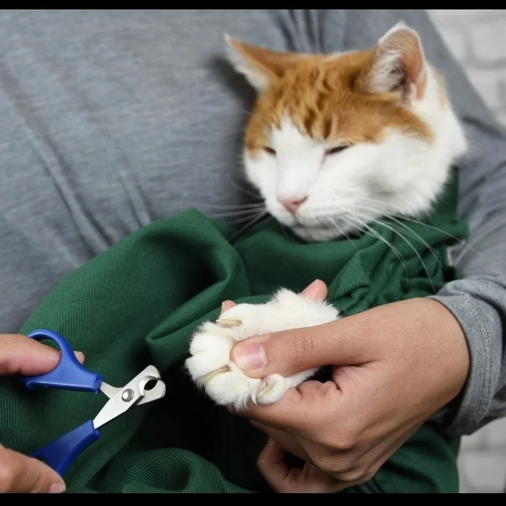 Cat-in-the-bag-Green. cat carriers soft cat bags for travel, medicating